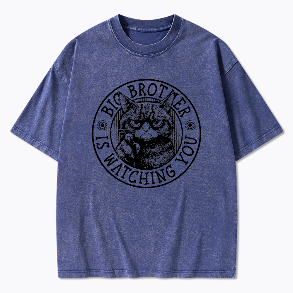 Big Brother Black Cat Is Watching You Washed T-Shirt