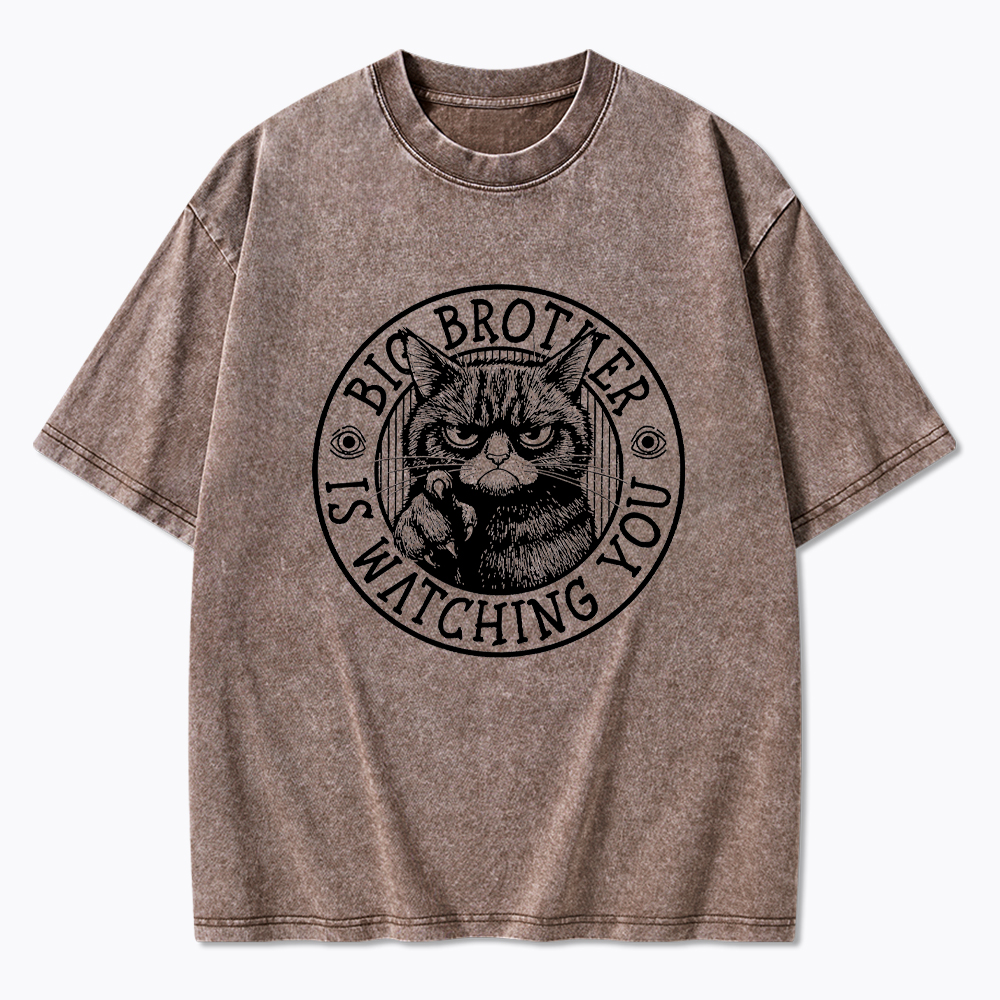 Big Brother Black Cat Is Watching You Washed T-Shirt