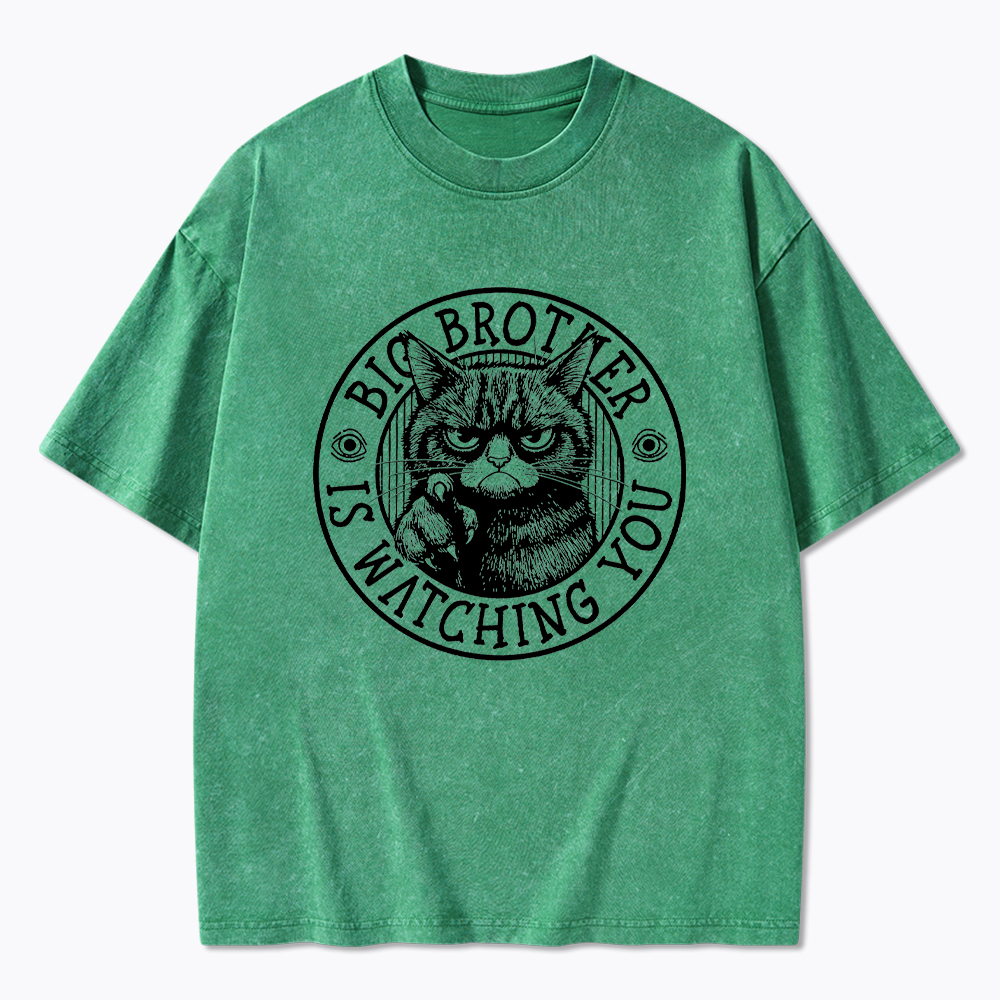 Big Brother Black Cat Is Watching You Washed T-Shirt