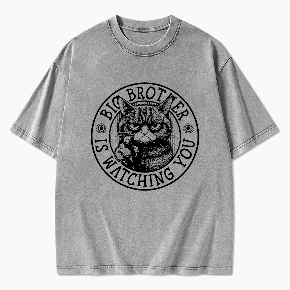 Big Brother Black Cat Is Watching You Washed T-Shirt