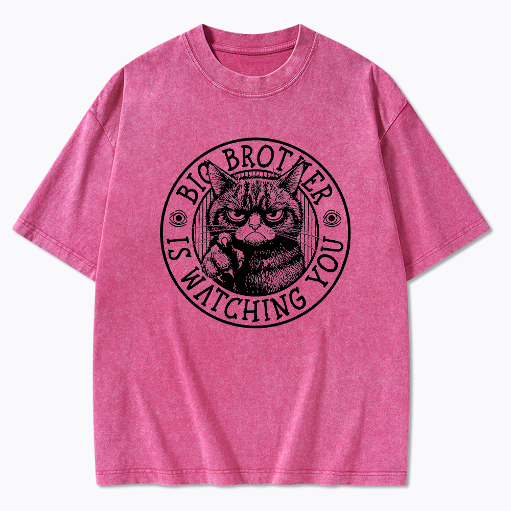 Big Brother Black Cat Is Watching You Washed T-Shirt