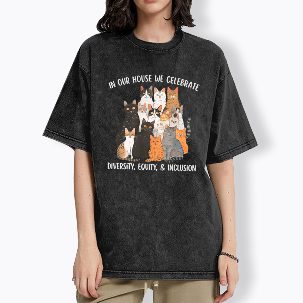 Diversity Equity Inclusion Washed T-Shirt