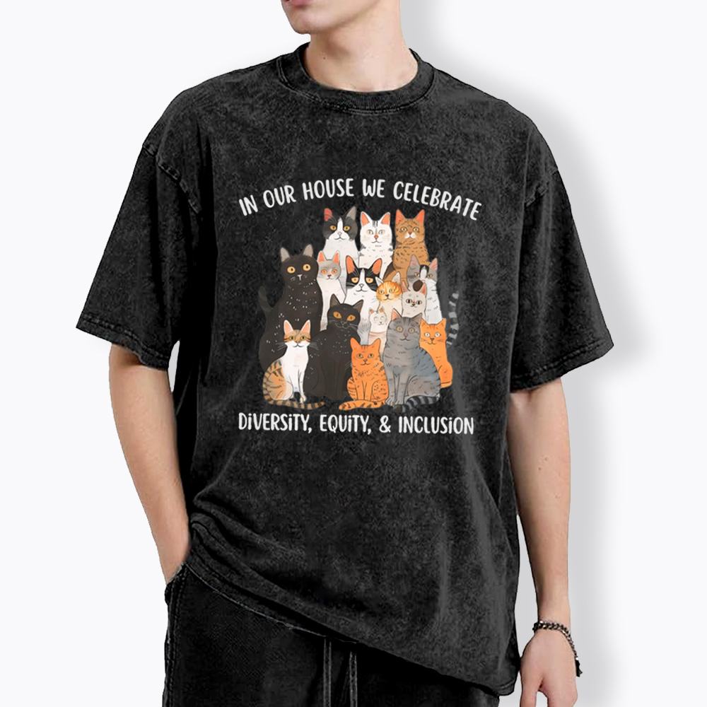 Diversity Equity Inclusion Washed T-Shirt