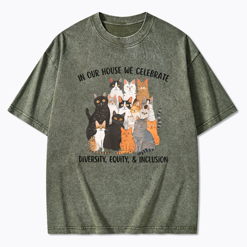 Diversity Equity Inclusion Washed T-Shirt