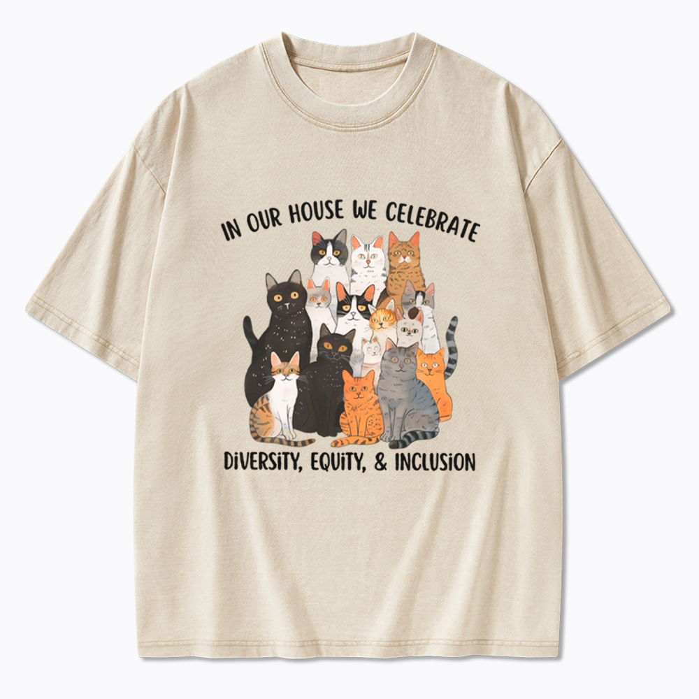 Diversity Equity Inclusion Washed T-Shirt