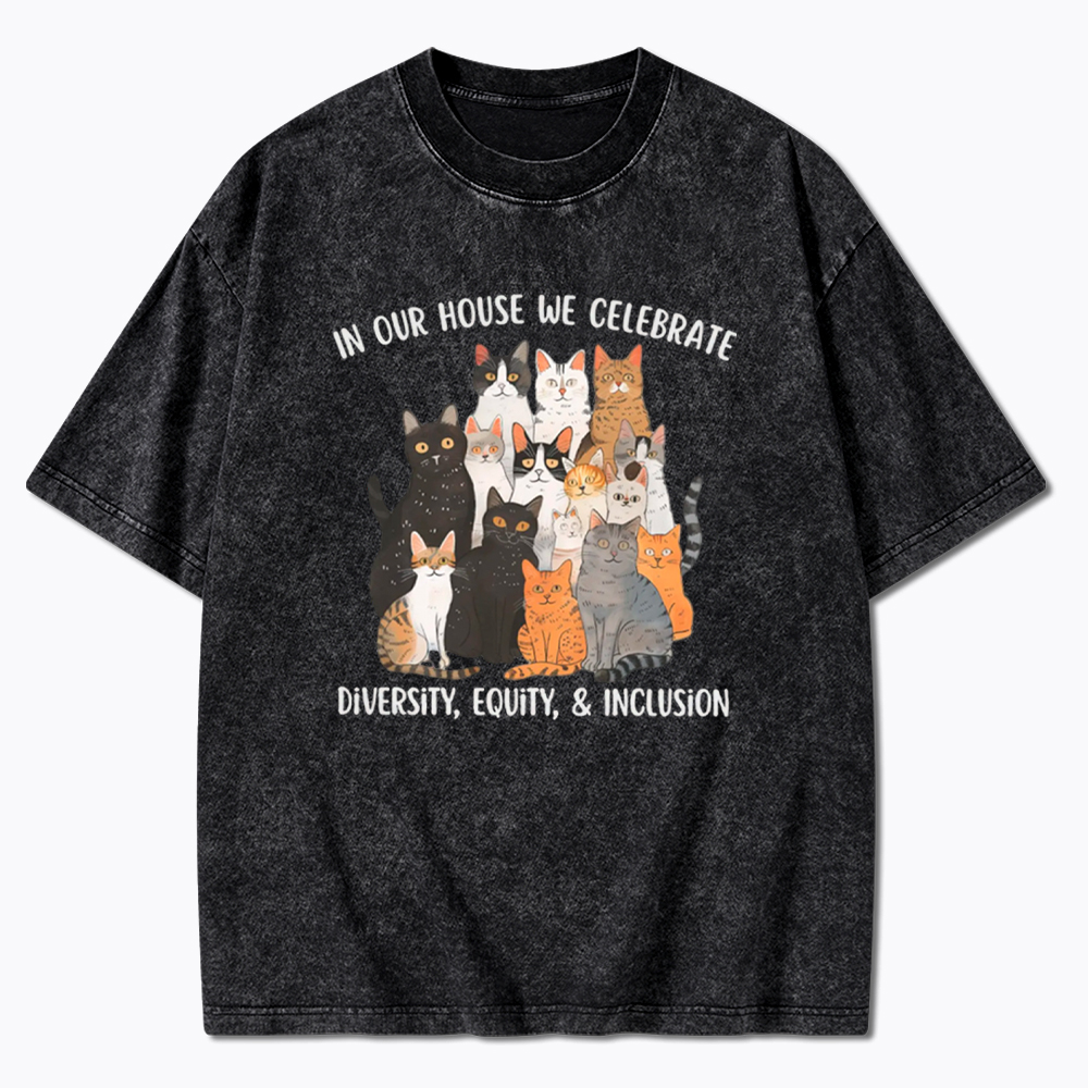 Diversity Equity Inclusion Washed T-Shirt