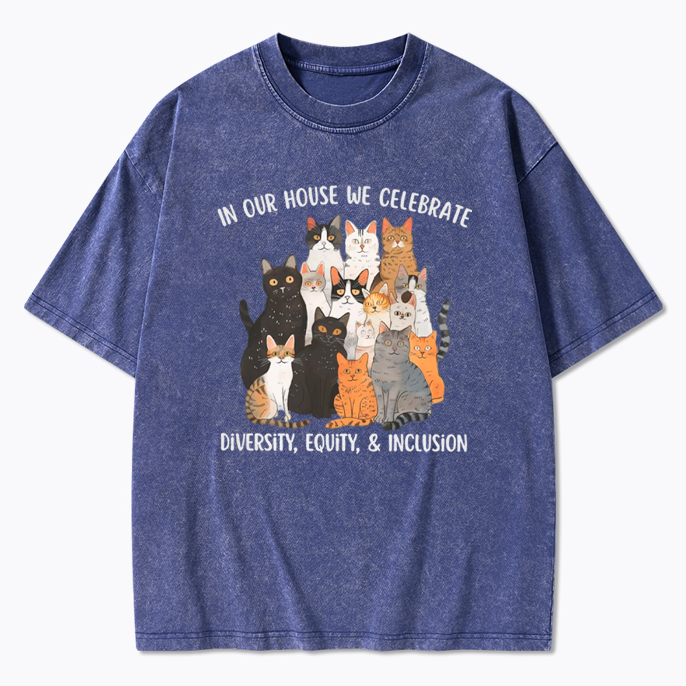 Diversity Equity Inclusion Washed T-Shirt