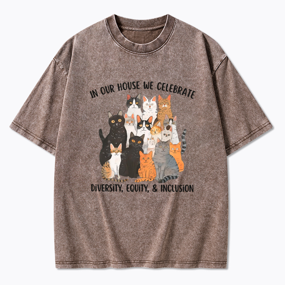 Diversity Equity Inclusion Washed T-Shirt