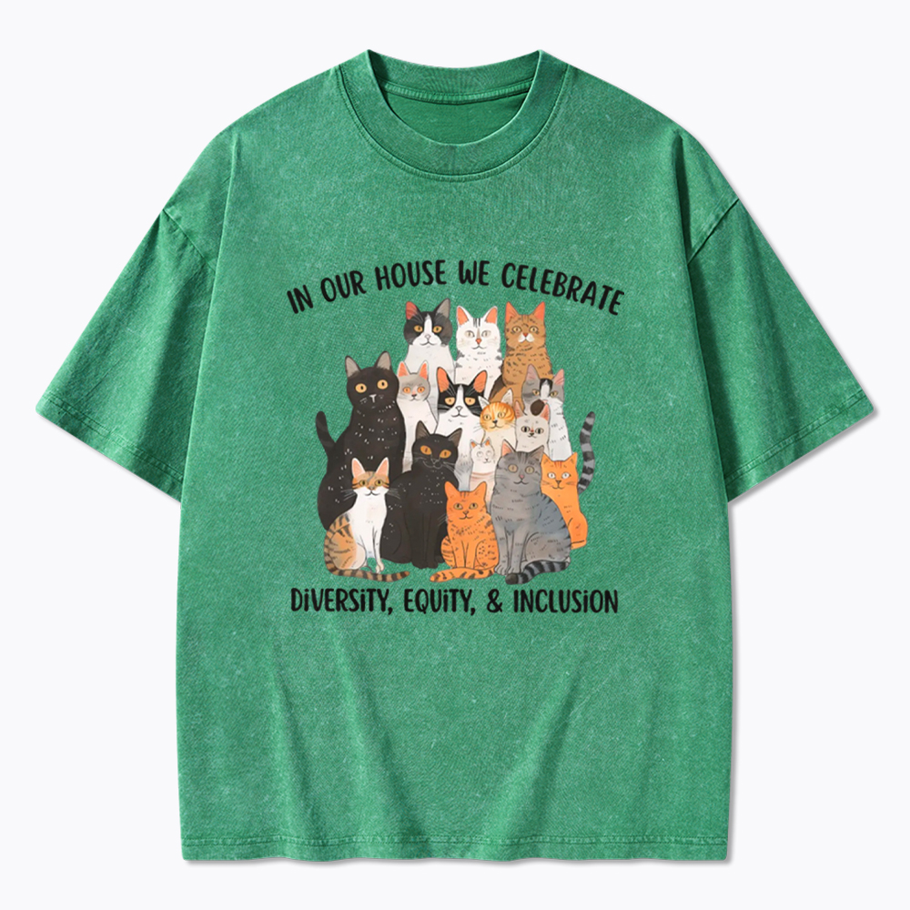 Diversity Equity Inclusion Washed T-Shirt