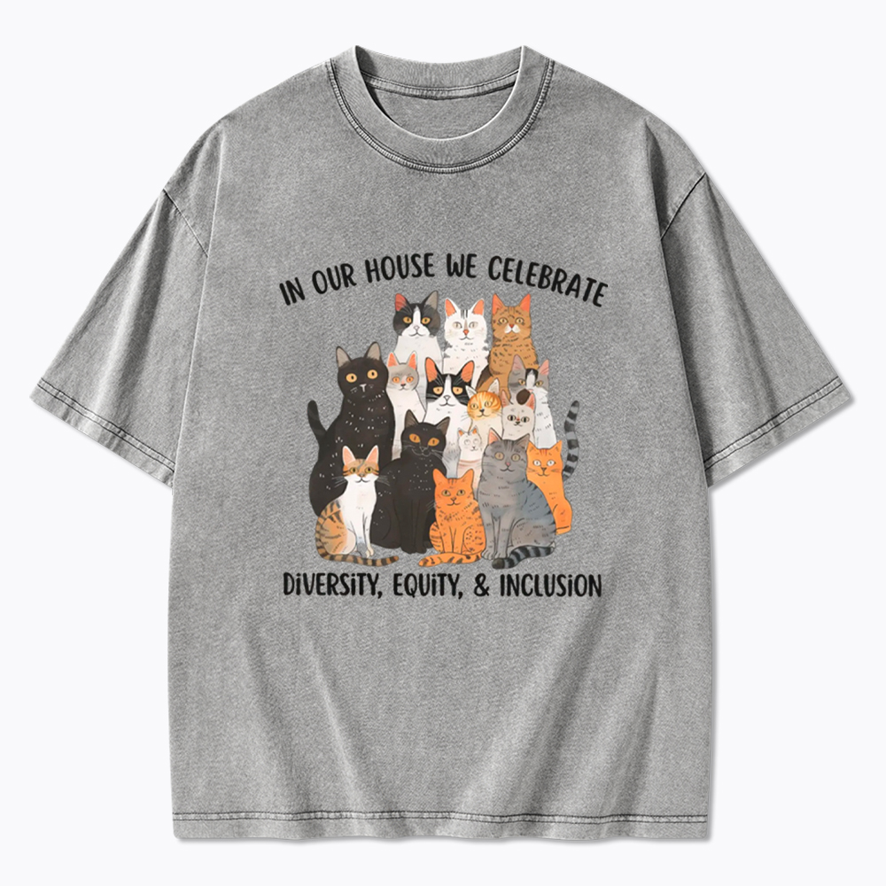 Diversity Equity Inclusion Washed T-Shirt