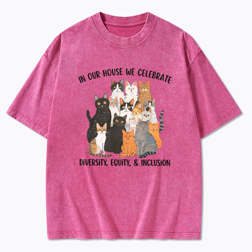 Diversity Equity Inclusion Washed T-Shirt