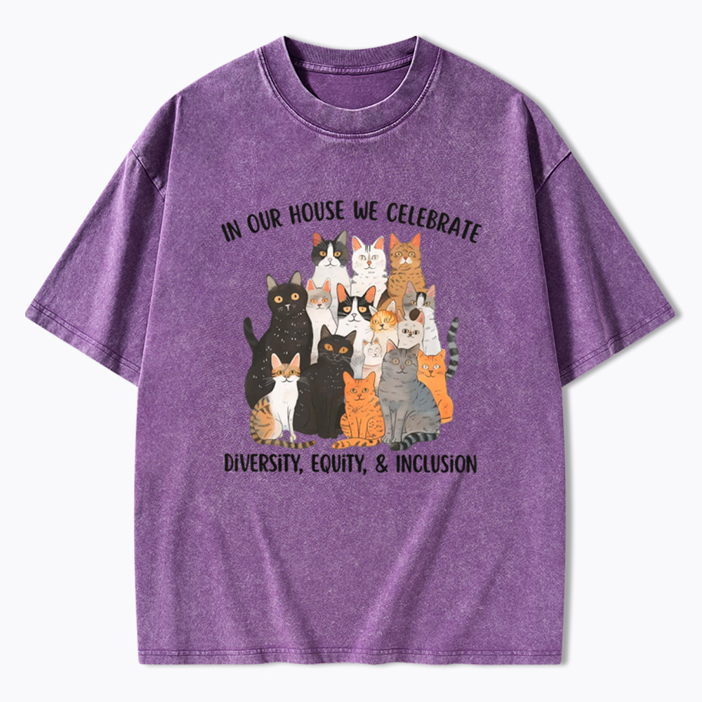 Diversity Equity Inclusion Washed T-Shirt