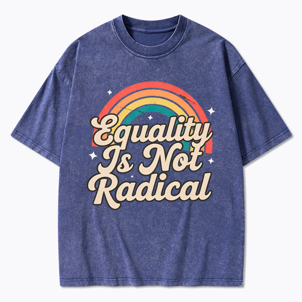 Equality Is Not Radical Washed T-Shirt