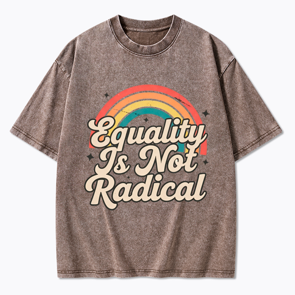 Equality Is Not Radical Washed T-Shirt