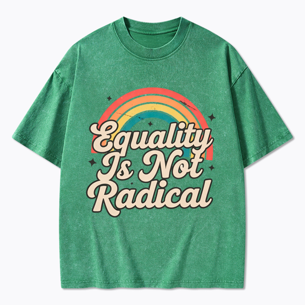 Equality Is Not Radical Washed T-Shirt
