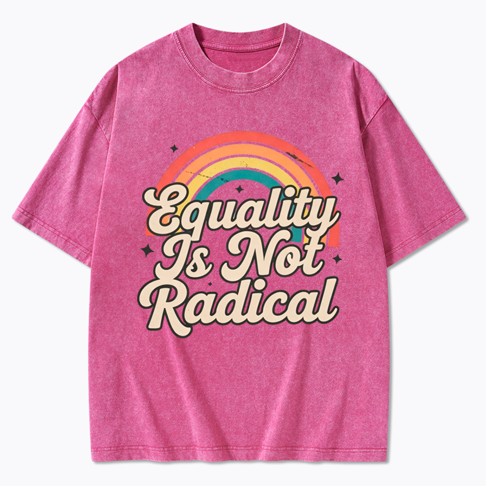 Equality Is Not Radical Washed T-Shirt