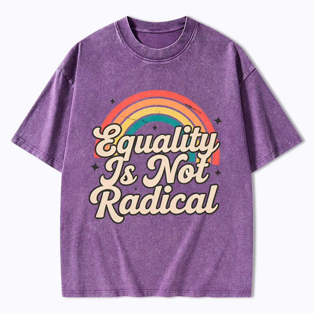 Equality Is Not Radical Washed T-Shirt