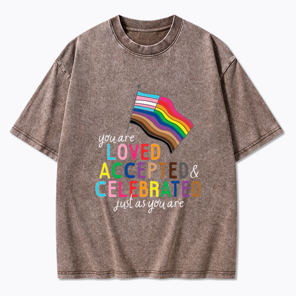 You Are Loved Accepted & Celebrated Just As You Are Washed T-Shirt