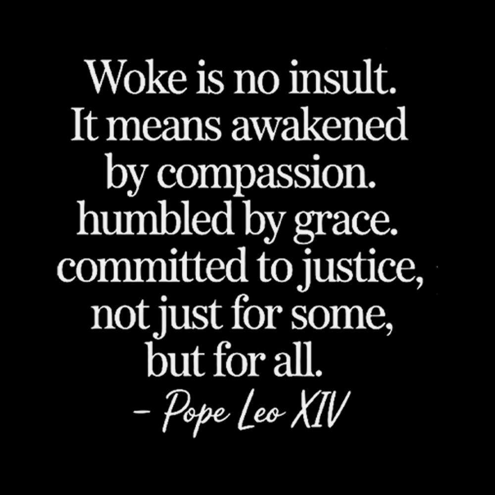 Woke is not an Insult Washed T-Shirt
