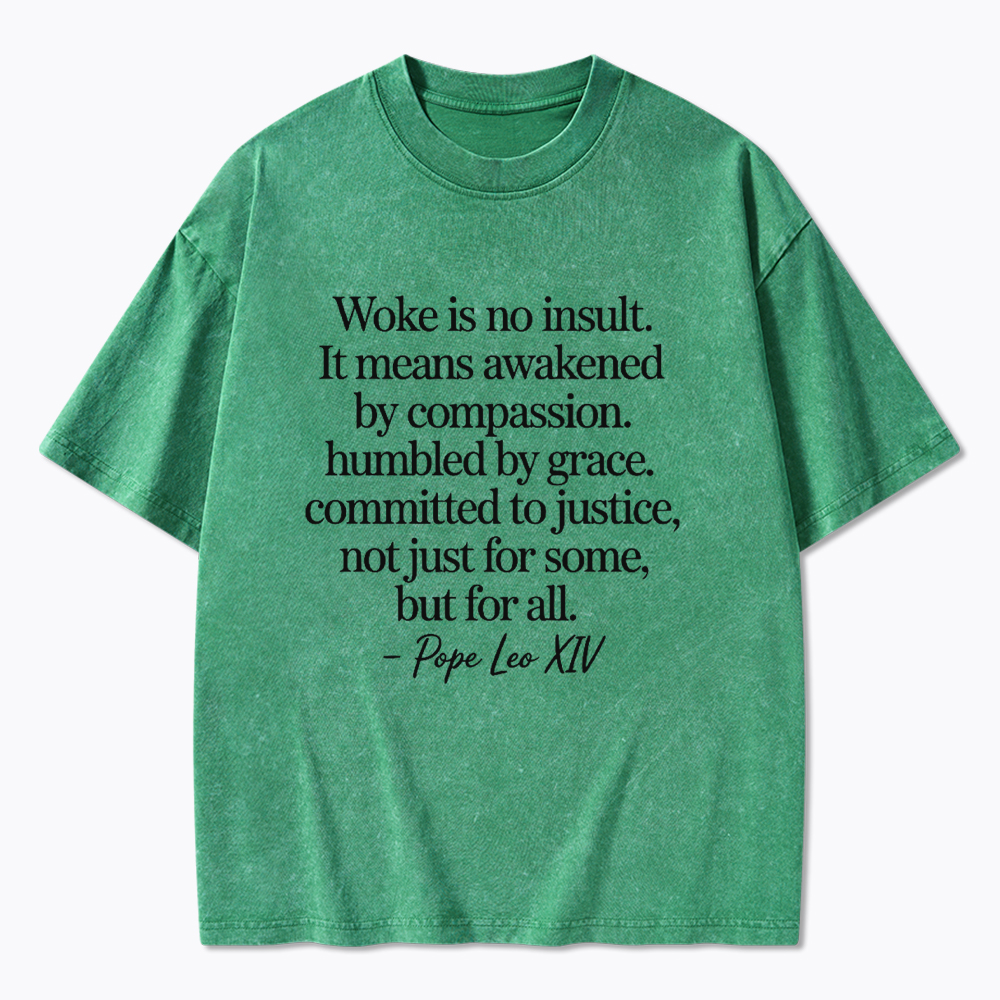 Woke is not an Insult Washed T-Shirt