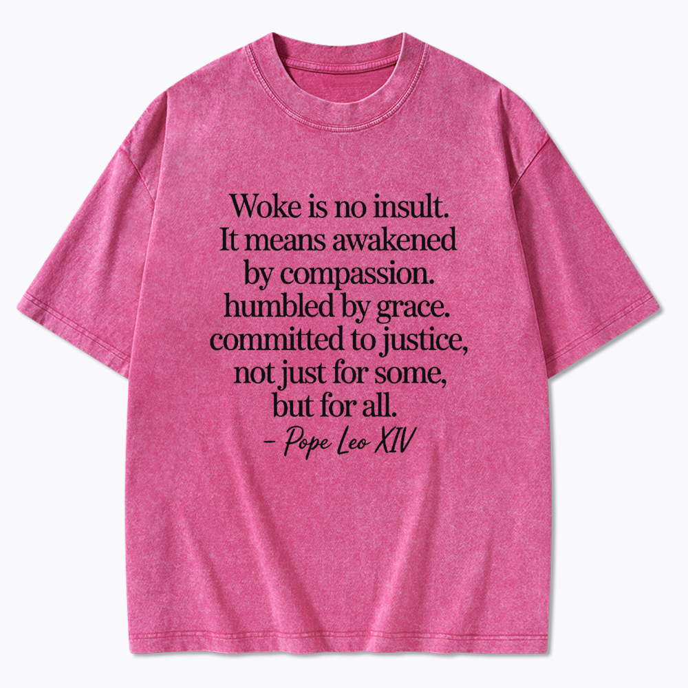 Woke is not an Insult Washed T-Shirt