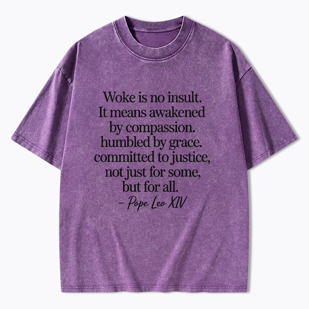 Woke is not an Insult Washed T-Shirt