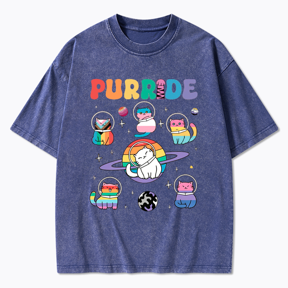 Purride Cats In Space Washed T-Shirt