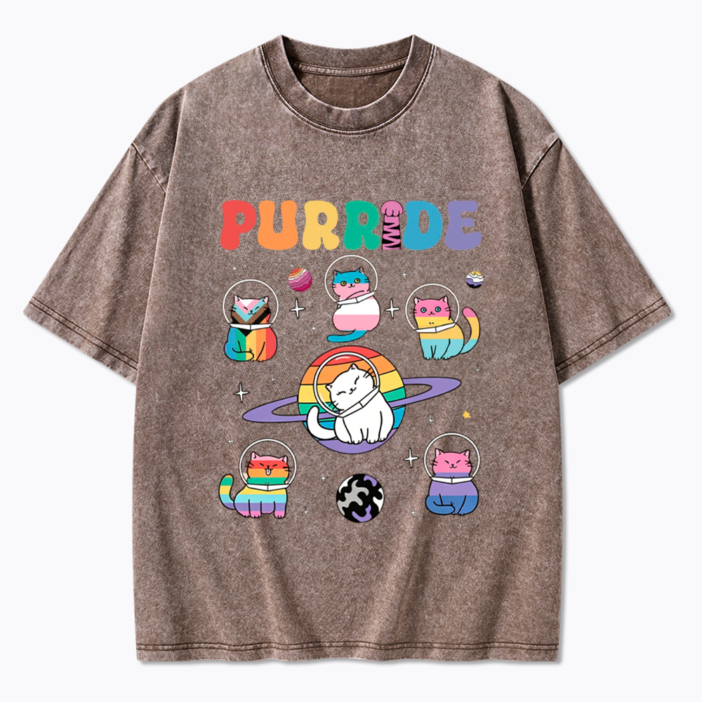 Purride Cats In Space Washed T-Shirt