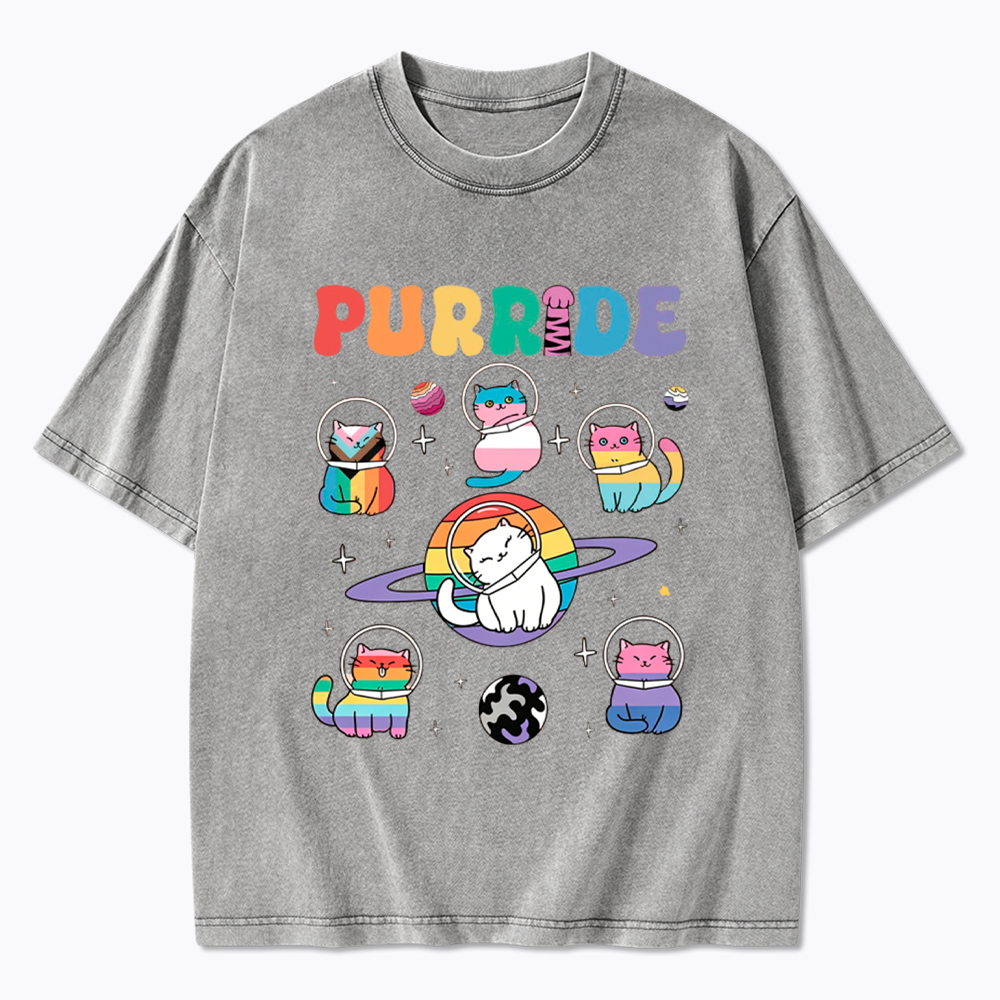 Purride Cats In Space Washed T-Shirt