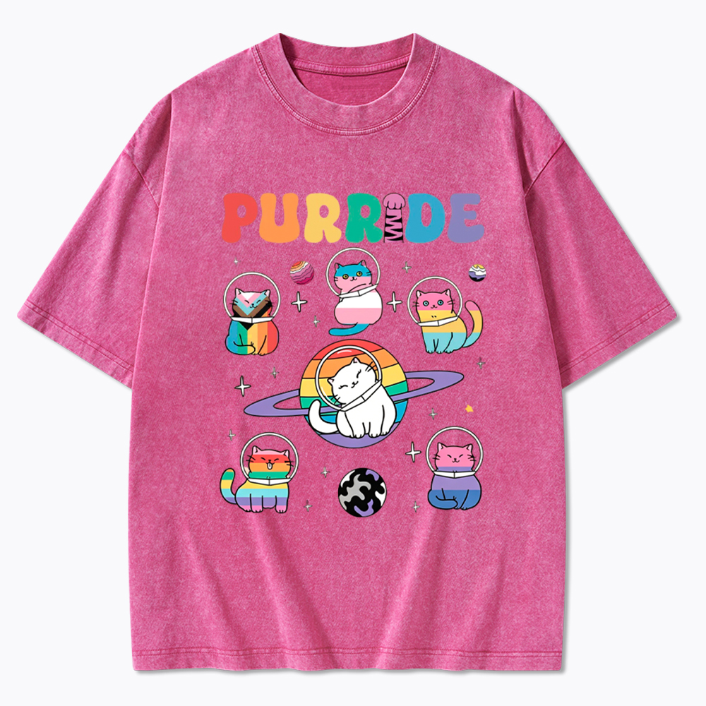 Purride Cats In Space Washed T-Shirt