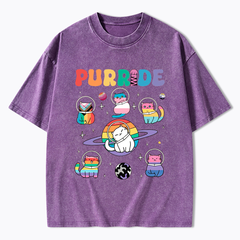 Purride Cats In Space Washed T-Shirt