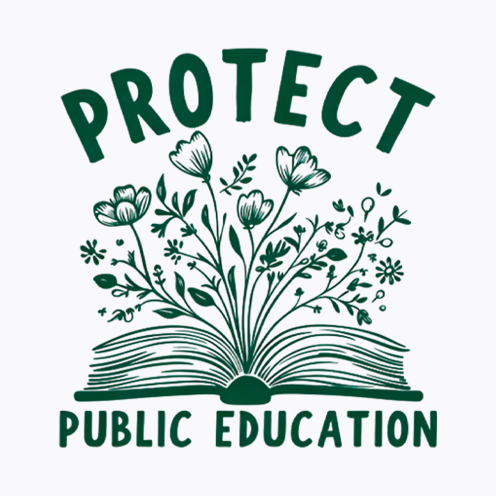 Protect Public Schools Washed T-Shirt