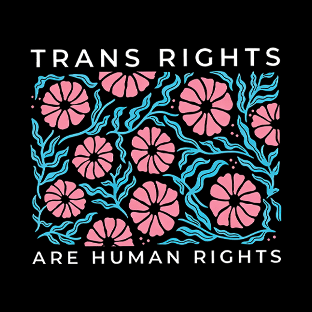 Trans Rights Protect Trans Washed T-Shirt