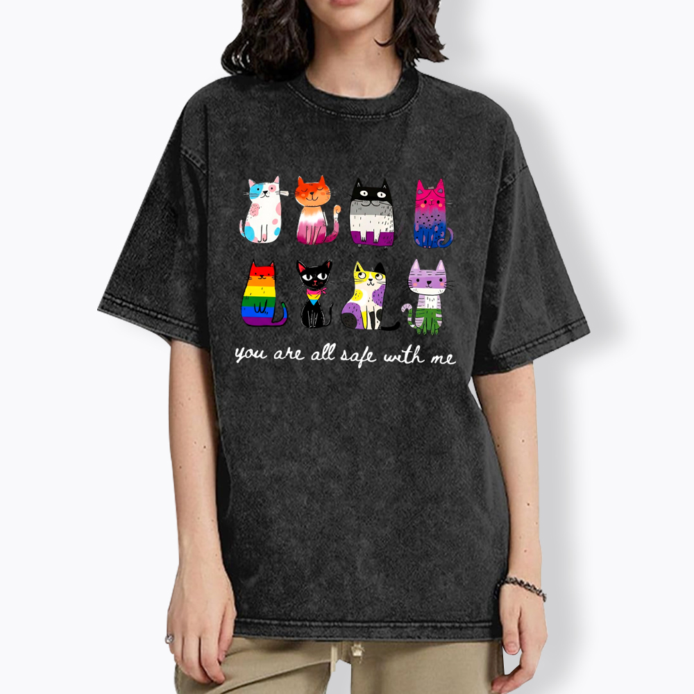 Inclusive Pride You Are All Safe With Me Washed T-Shirt