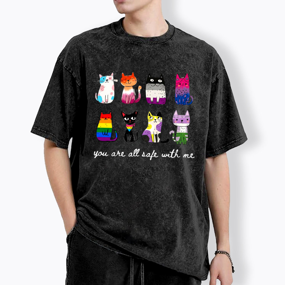 Inclusive Pride You Are All Safe With Me Washed T-Shirt