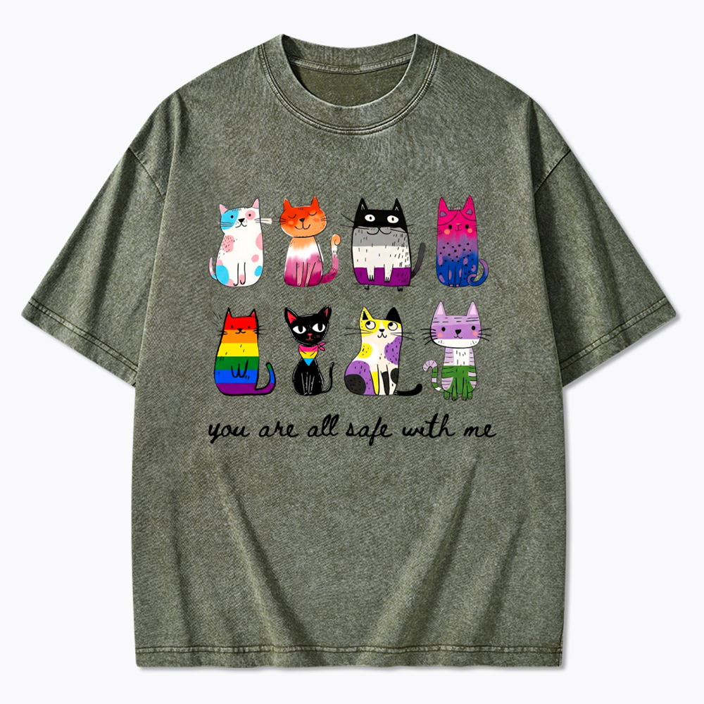 Inclusive Pride You Are All Safe With Me Washed T-Shirt