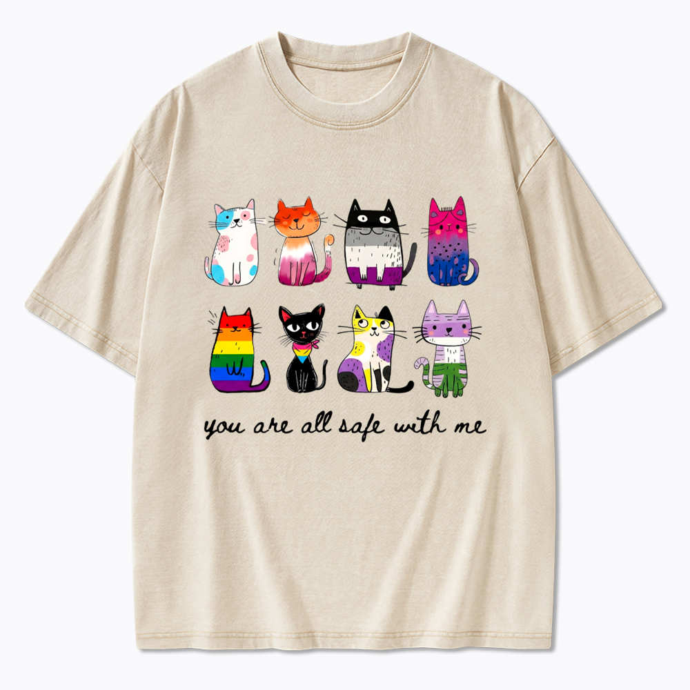 Inclusive Pride You Are All Safe With Me Washed T-Shirt