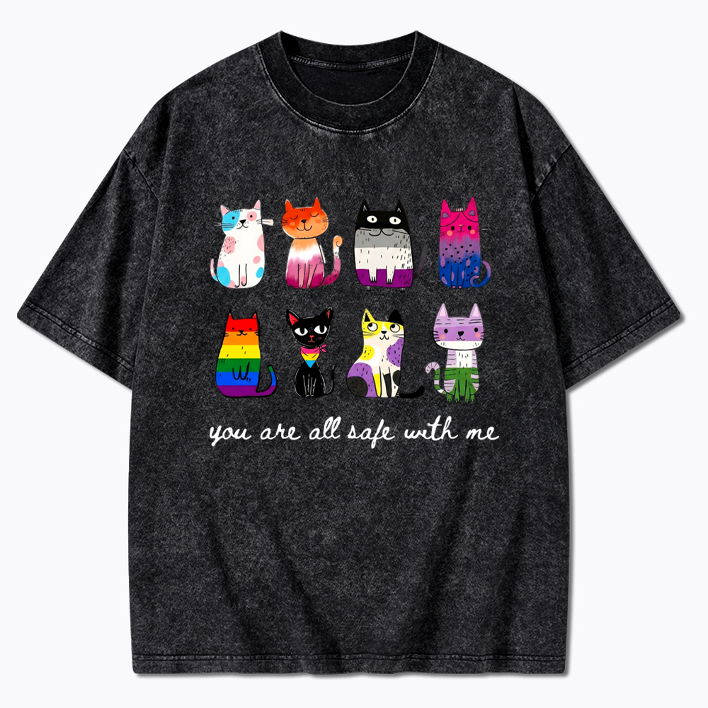 Inclusive Pride You Are All Safe With Me Washed T-Shirt