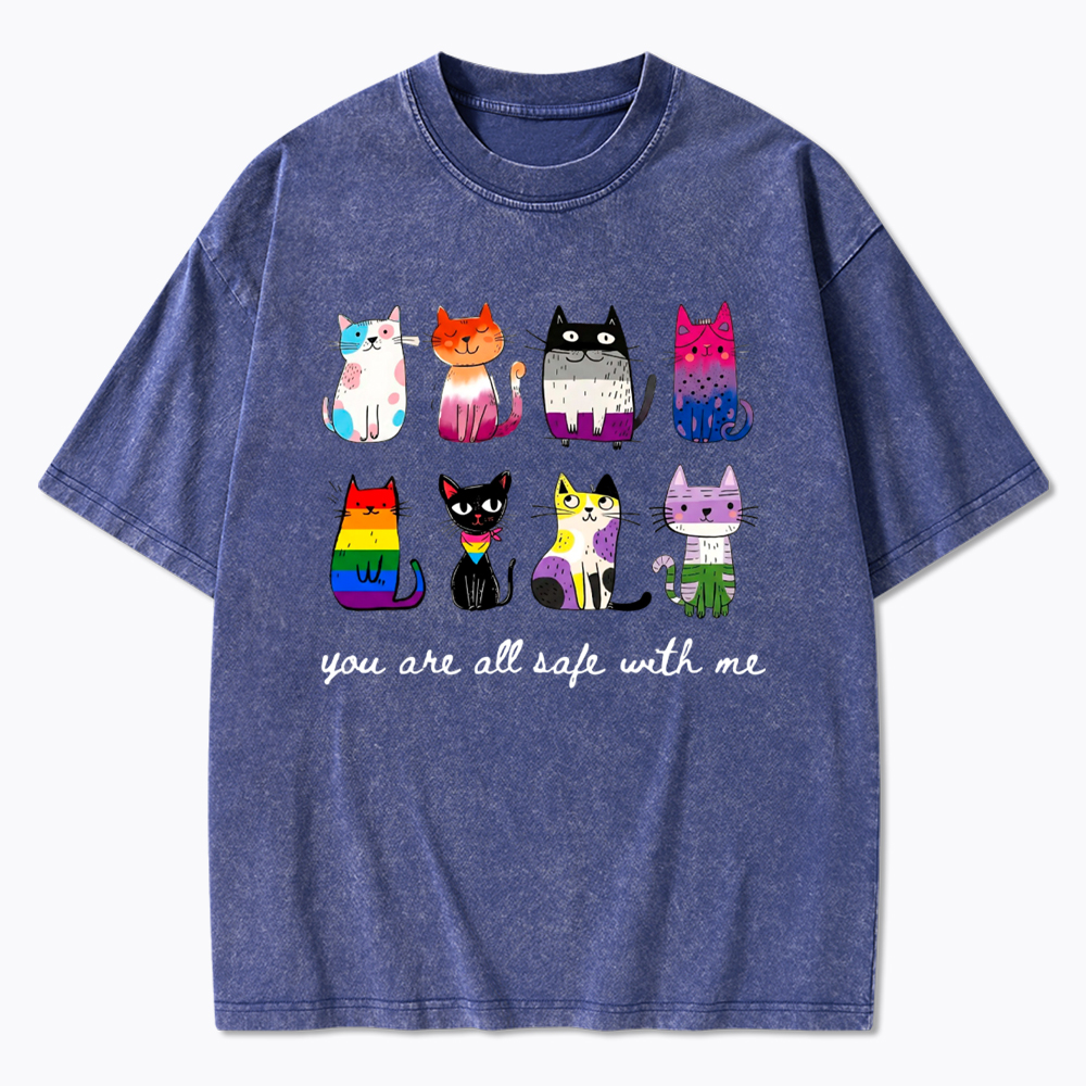 Inclusive Pride You Are All Safe With Me Washed T-Shirt
