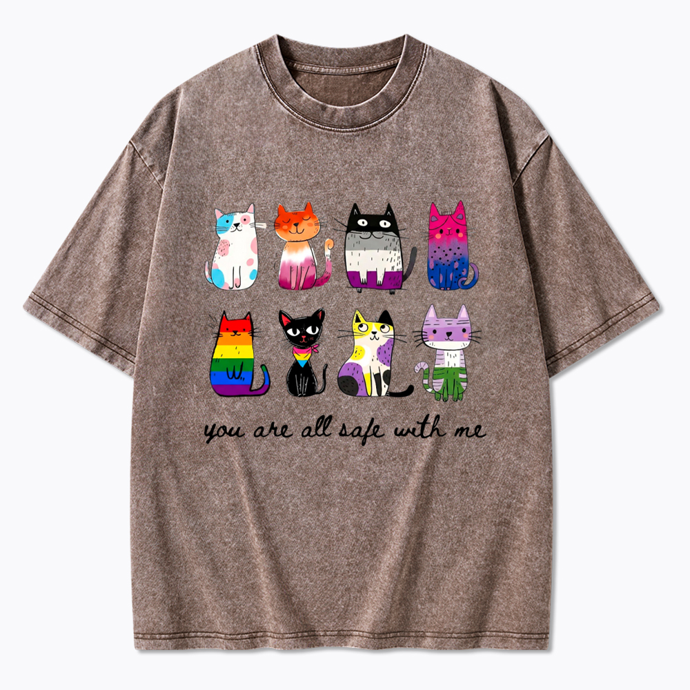 Inclusive Pride You Are All Safe With Me Washed T-Shirt