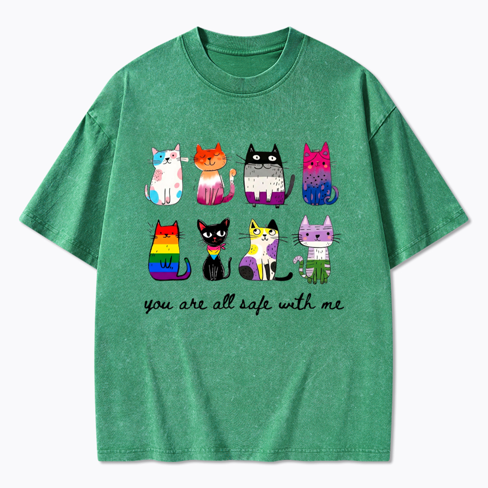 Inclusive Pride You Are All Safe With Me Washed T-Shirt