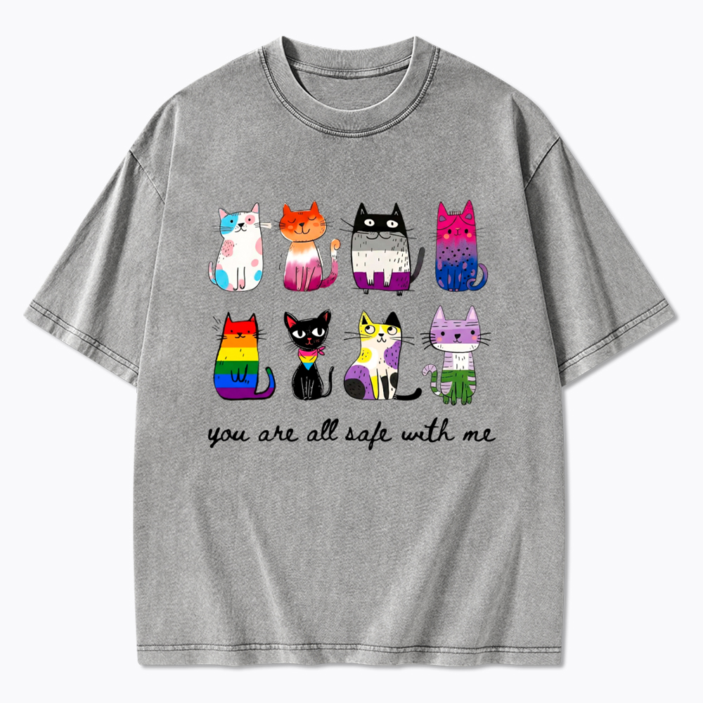 Inclusive Pride You Are All Safe With Me Washed T-Shirt