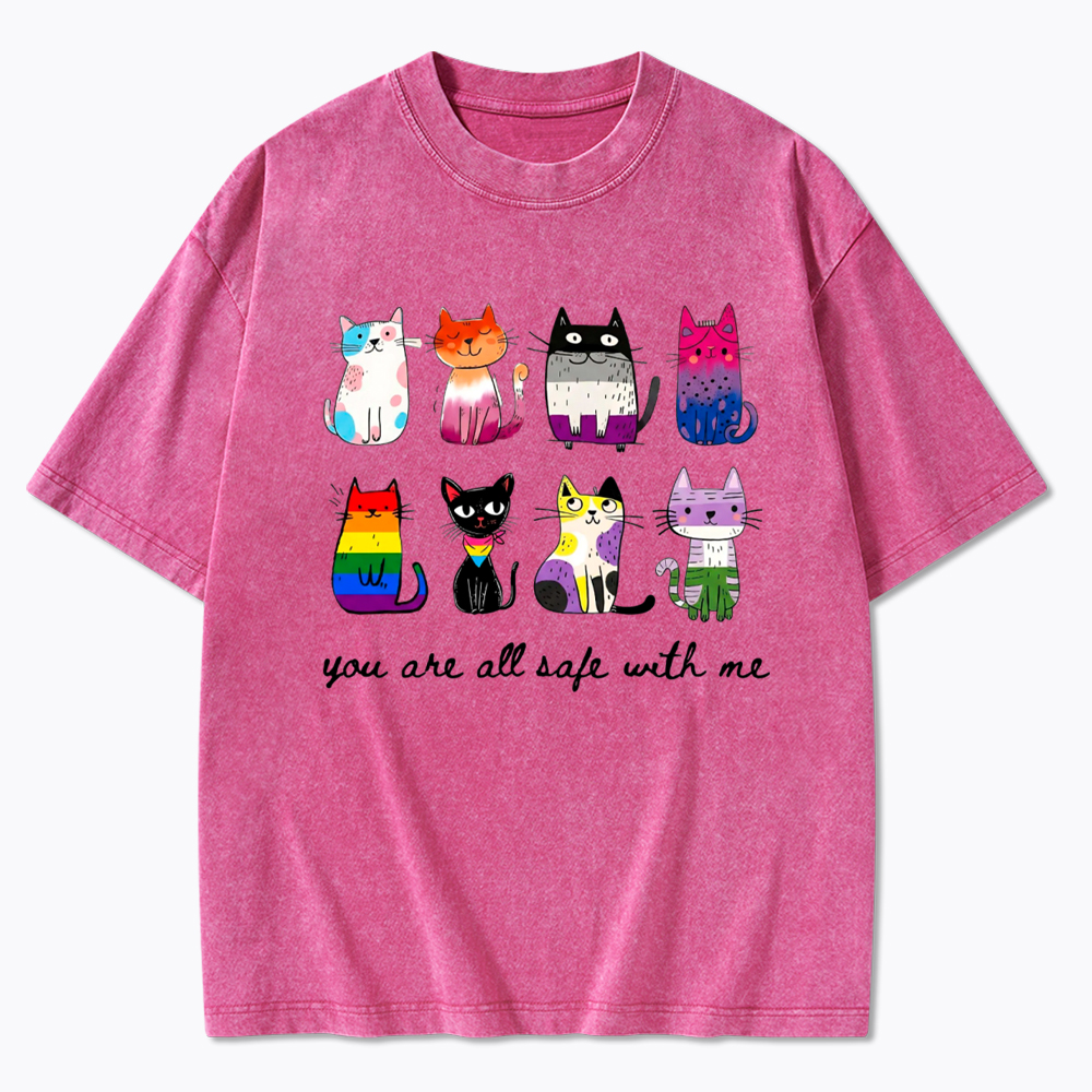 Inclusive Pride You Are All Safe With Me Washed T-Shirt