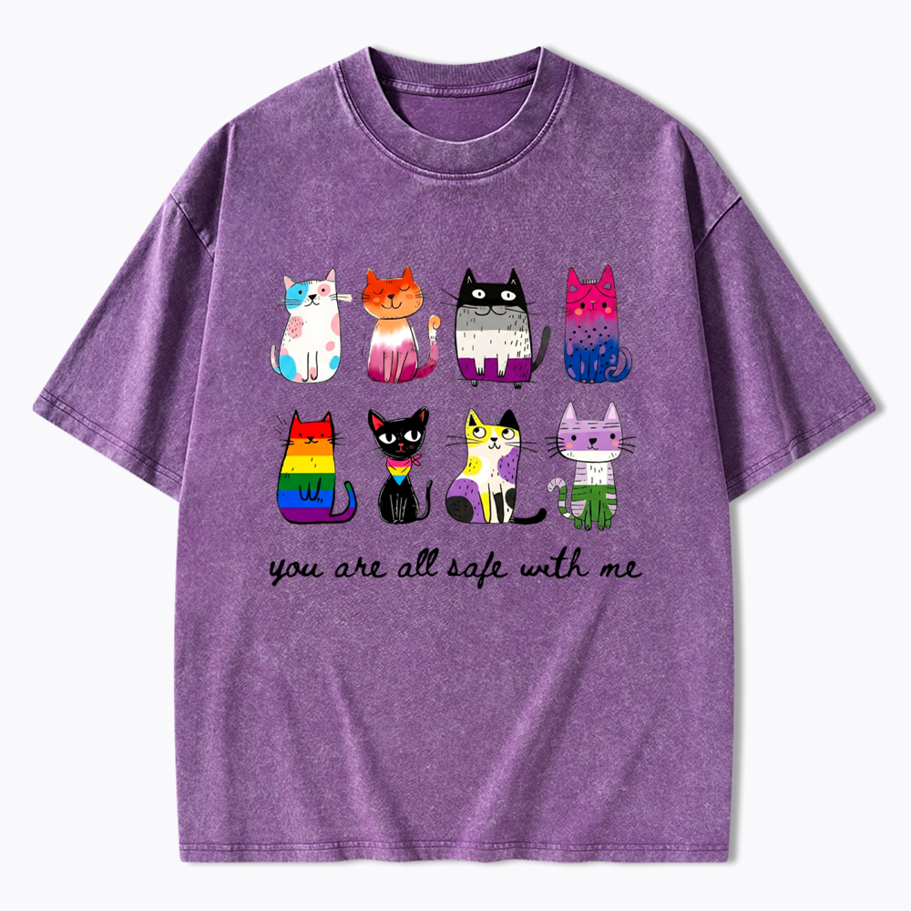 Inclusive Pride You Are All Safe With Me Washed T-Shirt