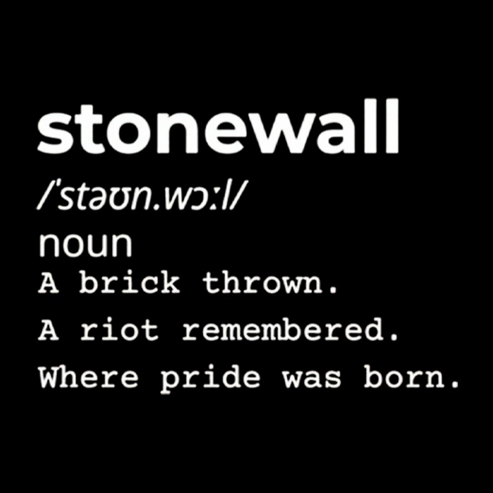 Stonewall Definition Pride Protest History Washed T-Shirt