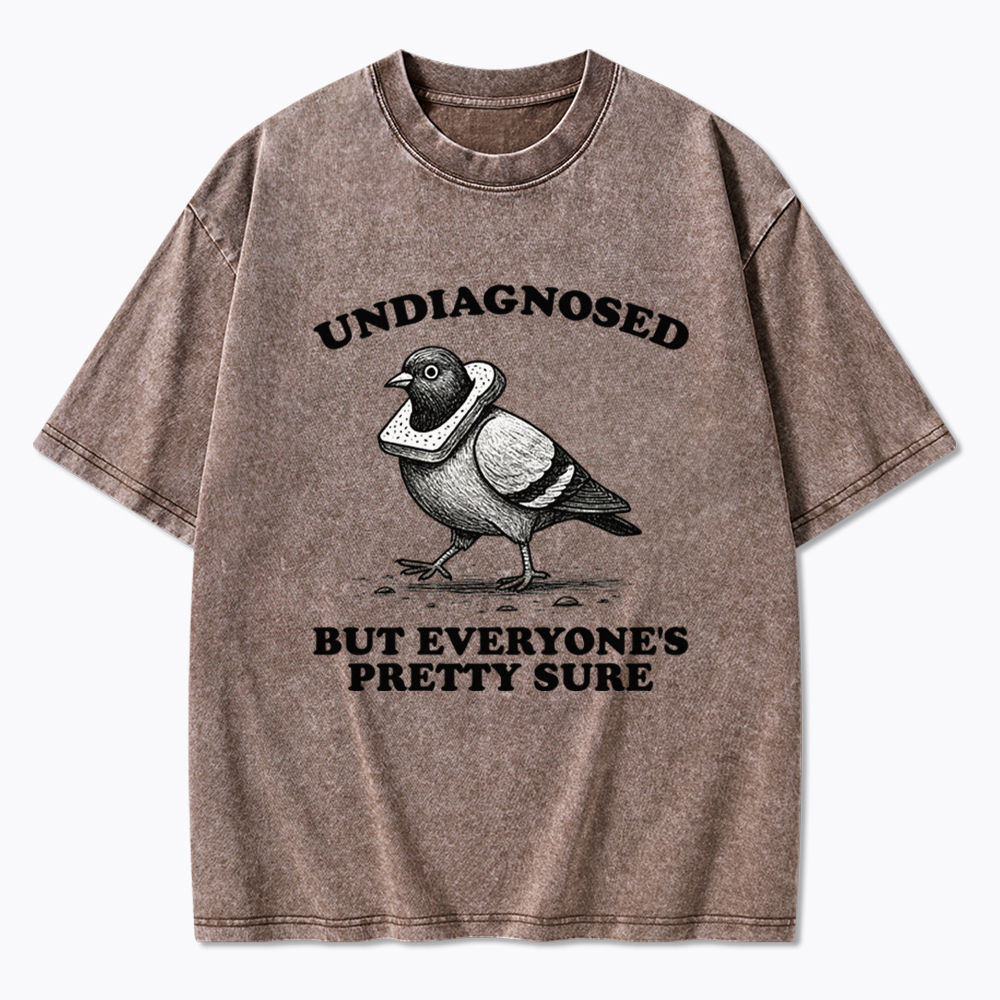 Undiagnosed But Everyone's Pretty Sure Washed T-Shirt