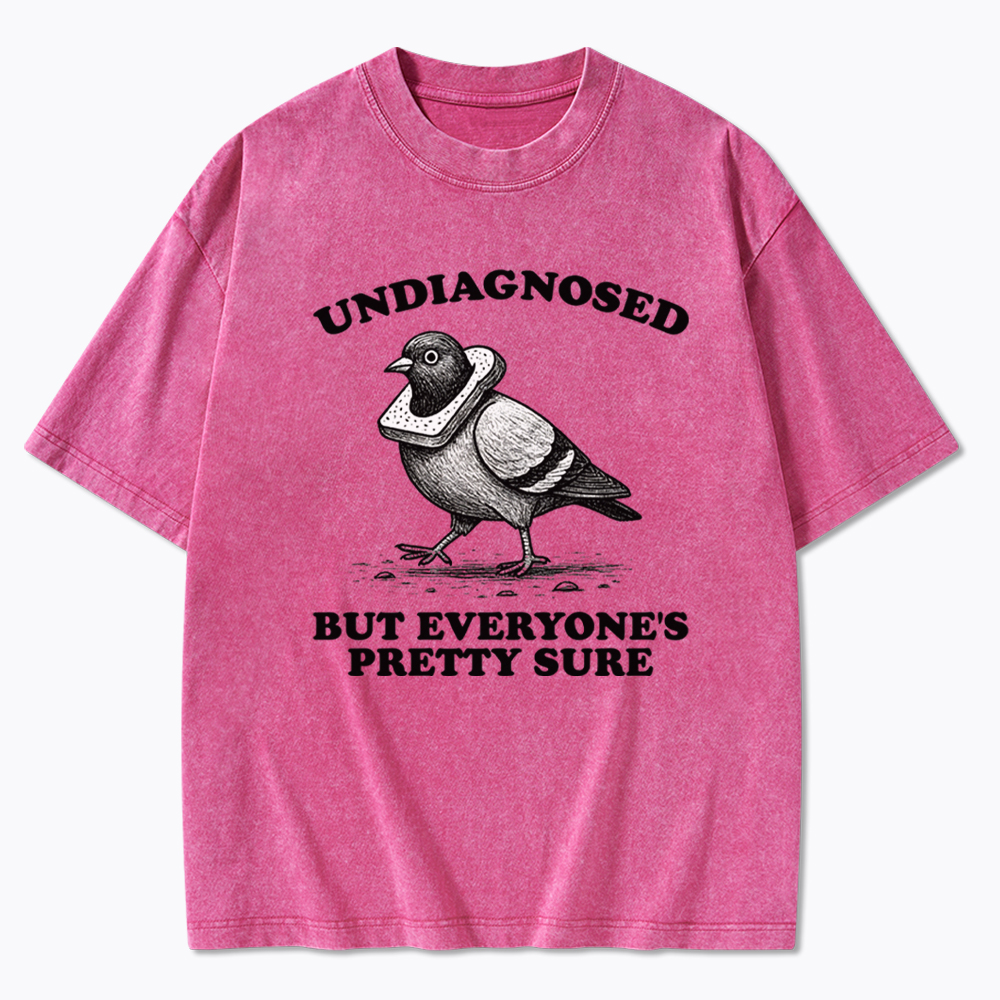 Undiagnosed But Everyone's Pretty Sure Washed T-Shirt