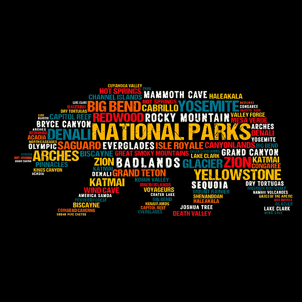 Support National Park Washed T-Shirt