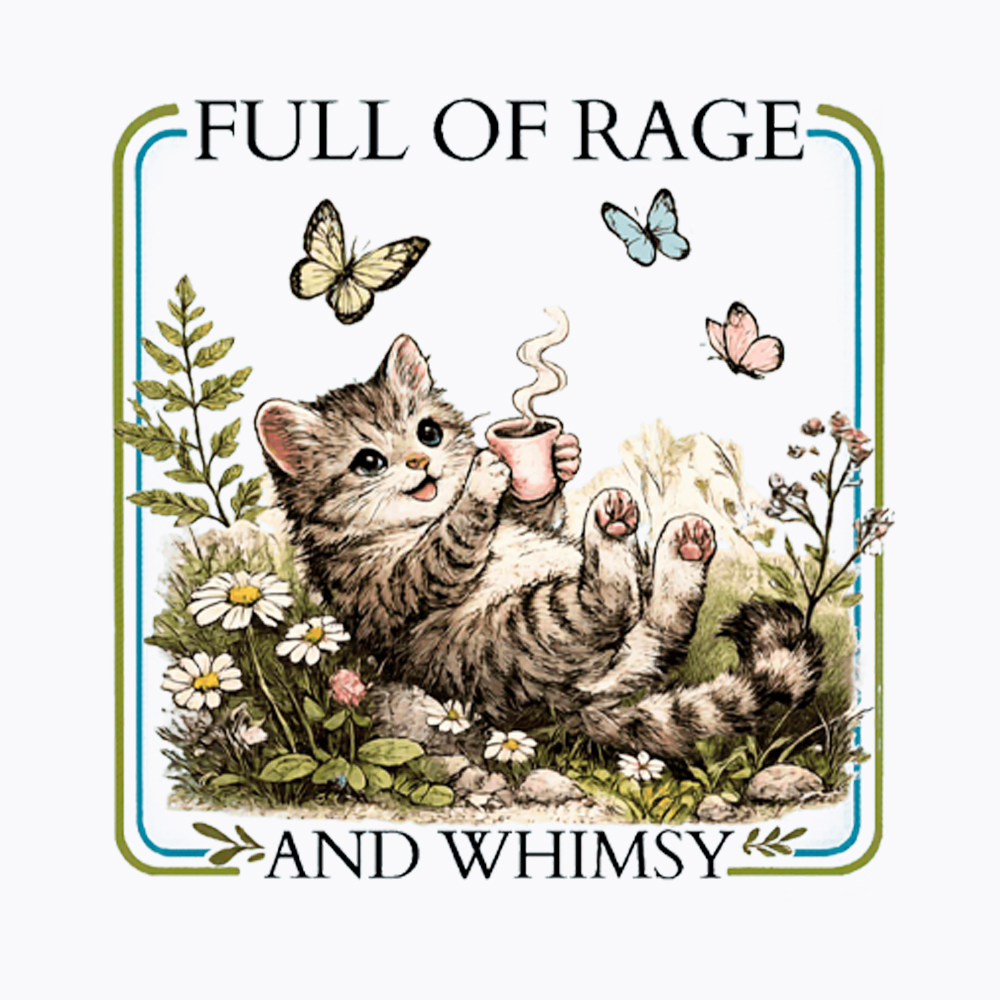 Full of Rage and Whimsy Washed T-Shirt