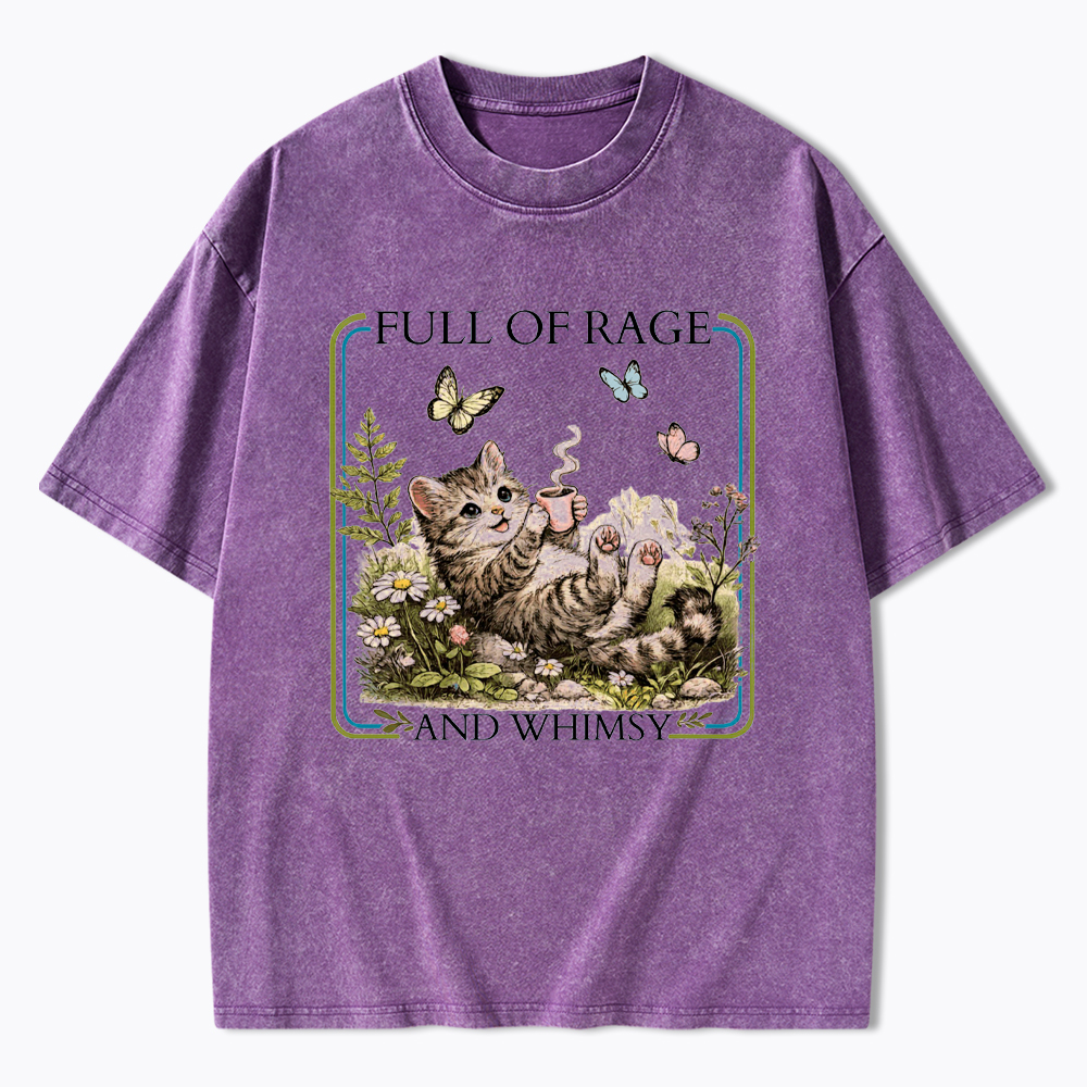 Full of Rage and Whimsy Washed T-Shirt
